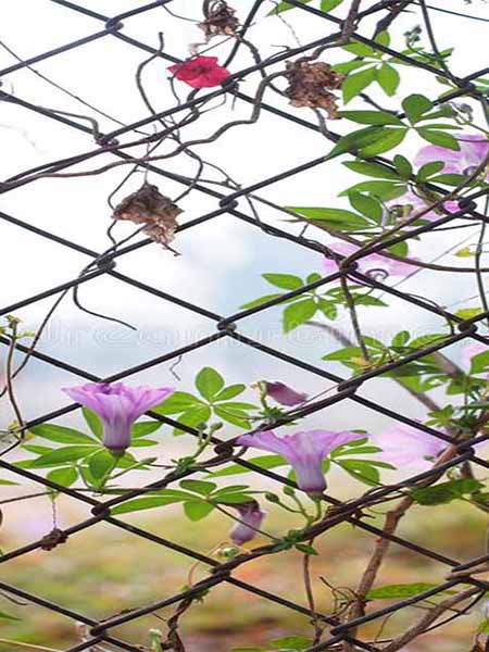 Chain link fence